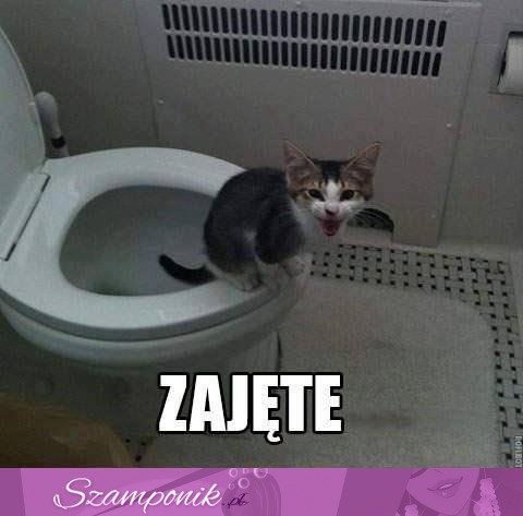 Zajęte :D