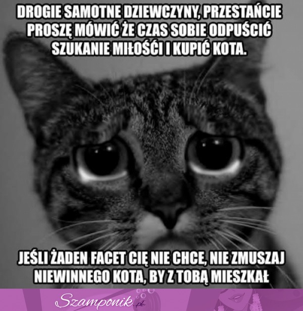 Drogie samotne dziewczyny...