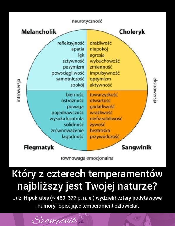 Sprawdź jaki masz TYP OSOBOWOŚCI ZRÓB szybki TEST za DARMO!