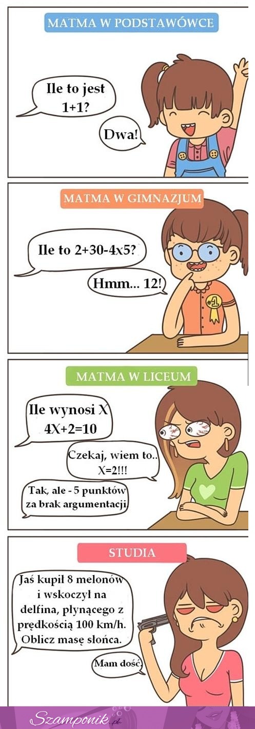 Jak wygląda MATEMATYKA w różnych etapach NAUKI- Studia najlepsze