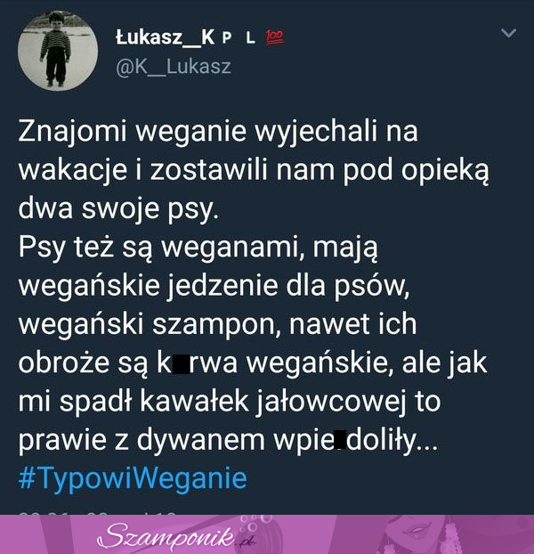 Tak to wygląda, gdy weganie mają psy