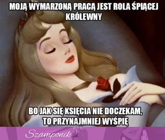 Wymarzona praca haha ;D