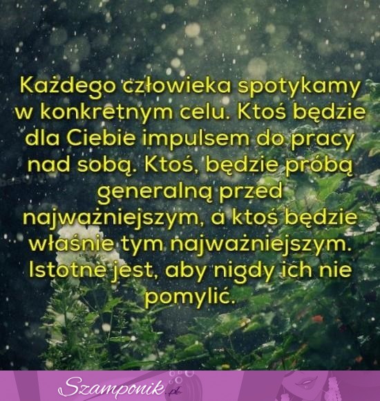 Każdego człowieka spotykamy...