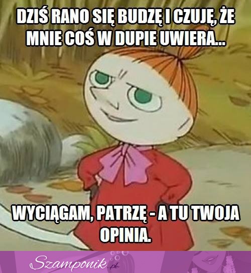 Dziś rano się budzę i czuję, że mnie... ;D