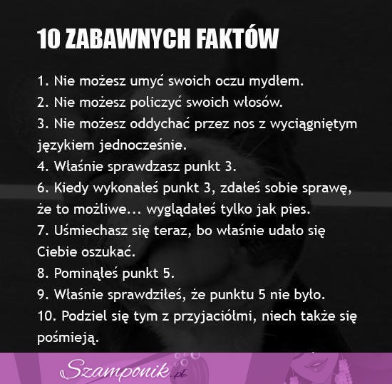 10 zabawanych faktów