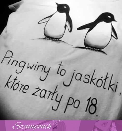 Pingwinki ;)