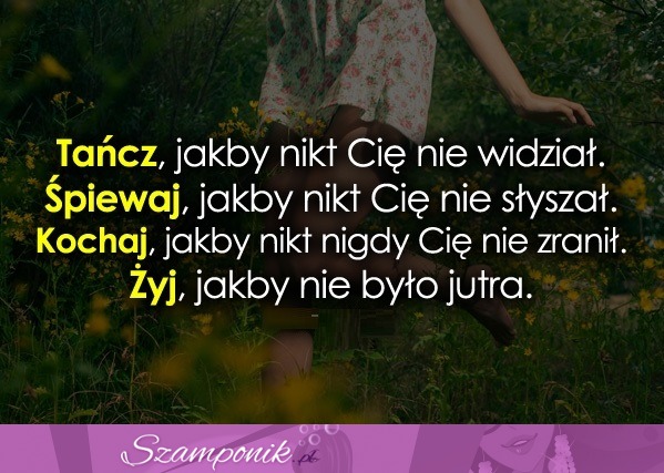 Tańcz, śpiewaj, kochaj, żyj!