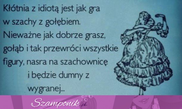 Nie kłóć się z idiotą