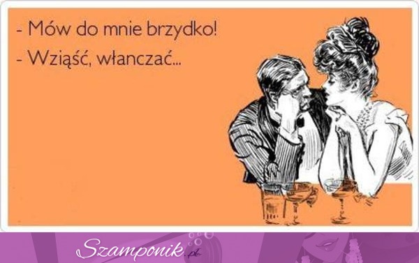 Mów do mnie brzydko!