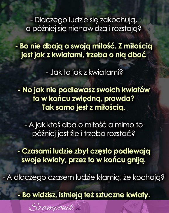 Miłość jest jak kwiat