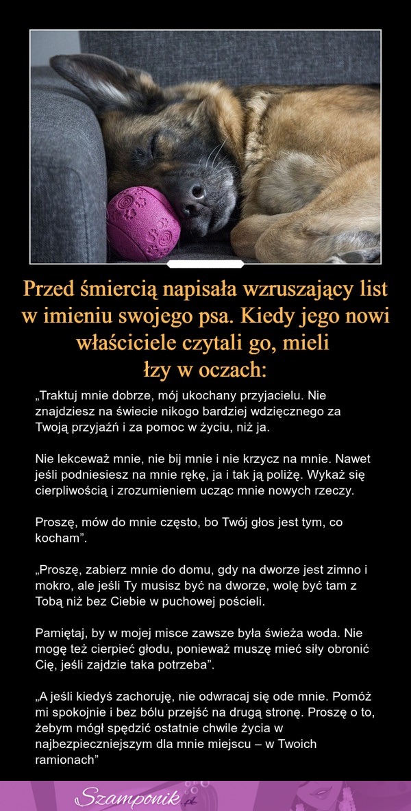 Przed śmiercią napisała wzruszający list w imieniu swojego psa. Kiedy jego nowi właściciele go czytali, mieli łzy w oczach