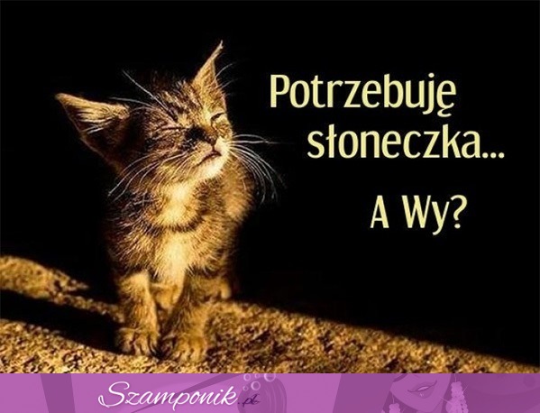 Potrzebuję słoneczka ;)