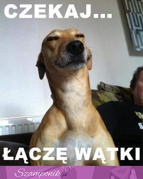 Łączę wątki ;)