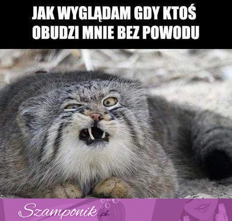 Jak wyglądam...