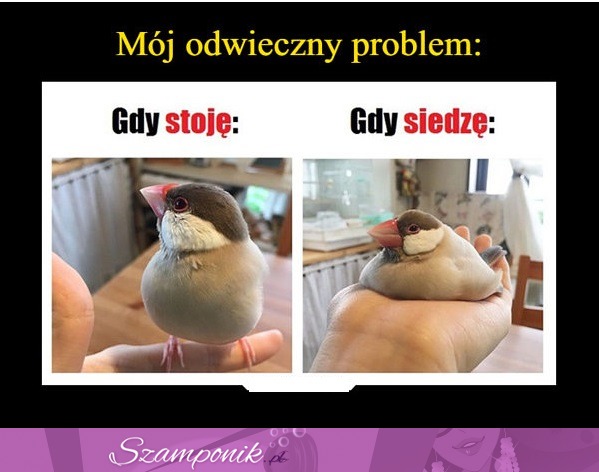 Mój problem