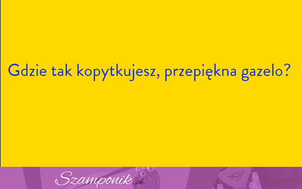 Zobacz najgorsze teksty na podryw (galeria)!