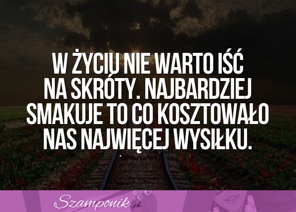 W życiu nie warto iść na skróty.