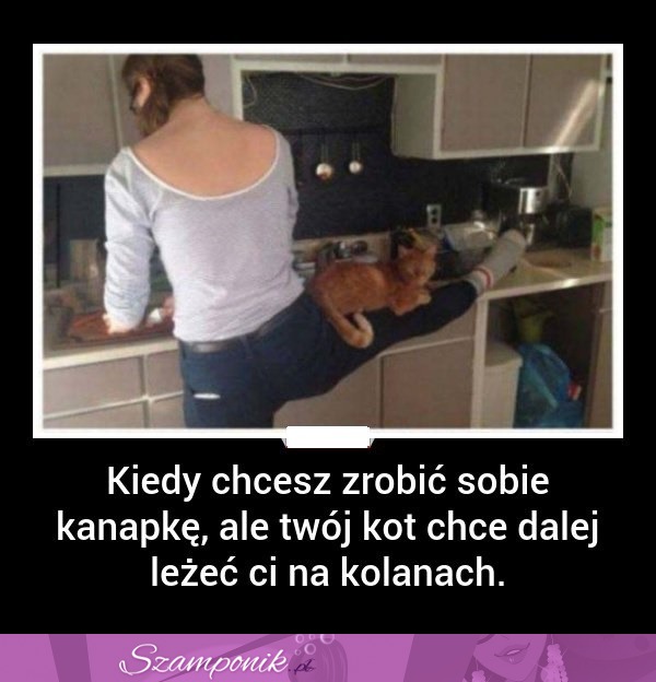 Kiedy chcesz zrobić sobie kanapkę