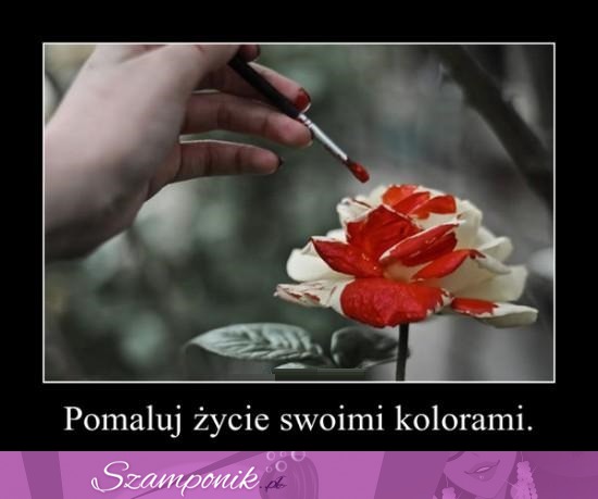 Pomaluj życie