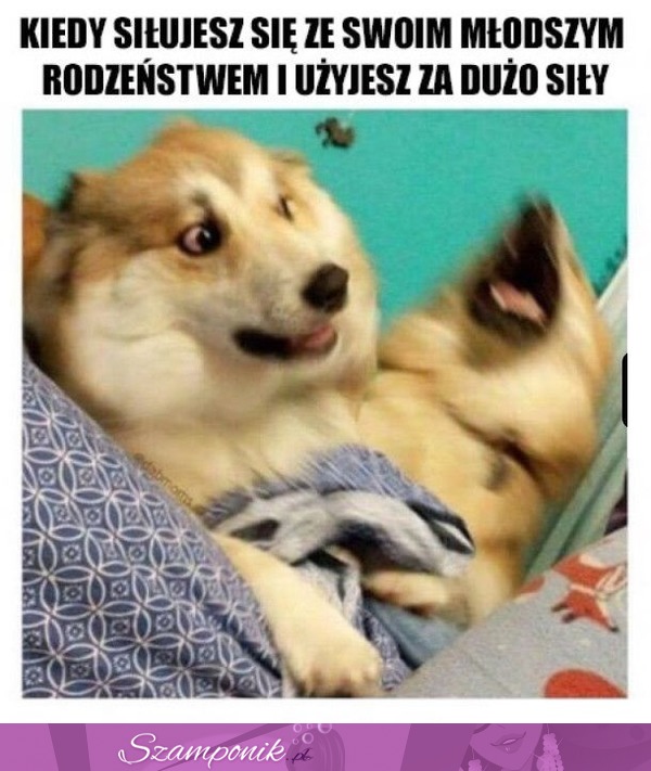 Kiedy się siłujesz