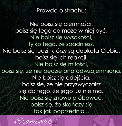 Prawda o strachu