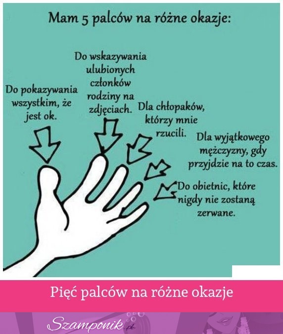 Pięć palców na różne okazje... TRAFIONE!