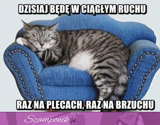 W ciągłym ruchu