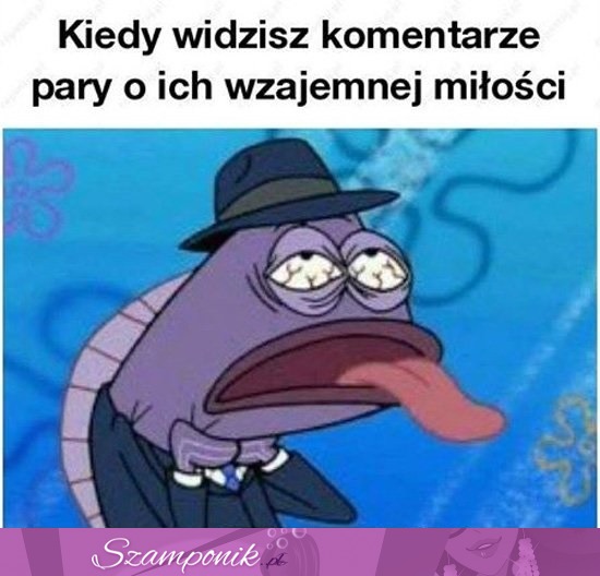 Kiedy widzisz komentarze