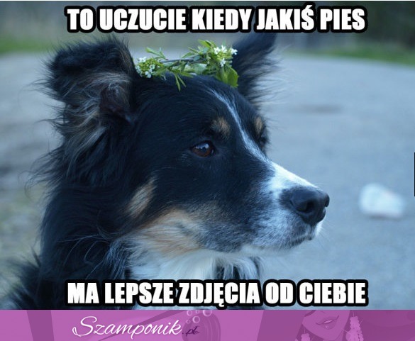 To uczucie