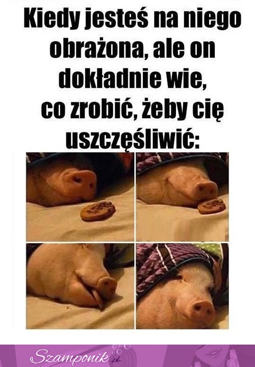 Kiedy jesteś na niego obrażona