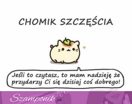 Chomik szczęścia, haha