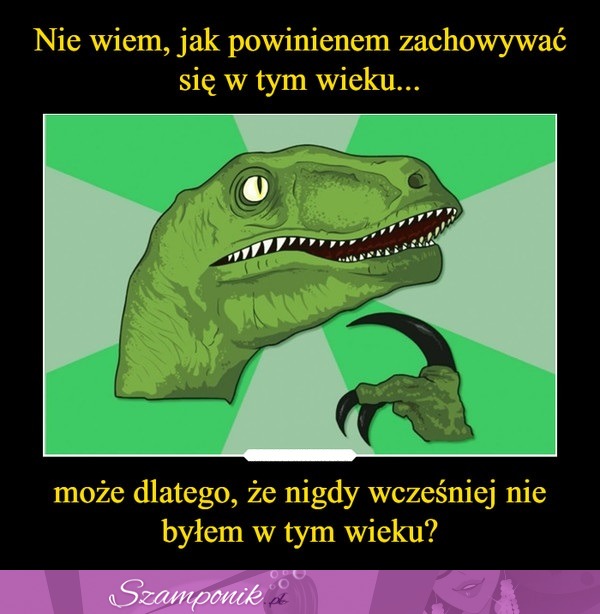 Może dlatego