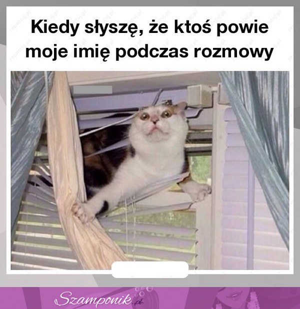 Coś ktoś mówił?