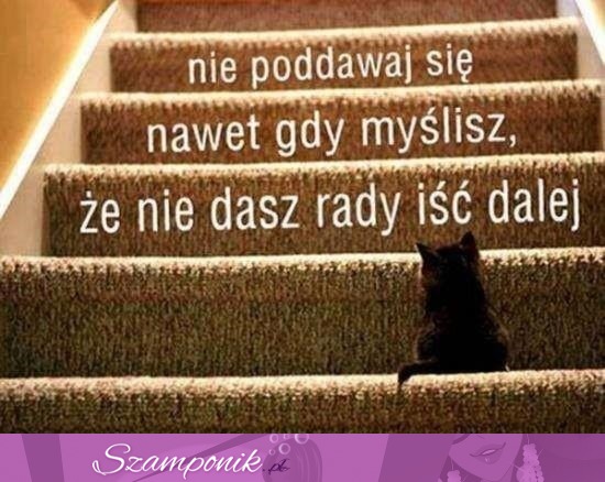 Nie poddawaj się