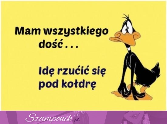 Mam wszystkiego dość!