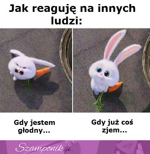 Jak reaguję na innych ludzi