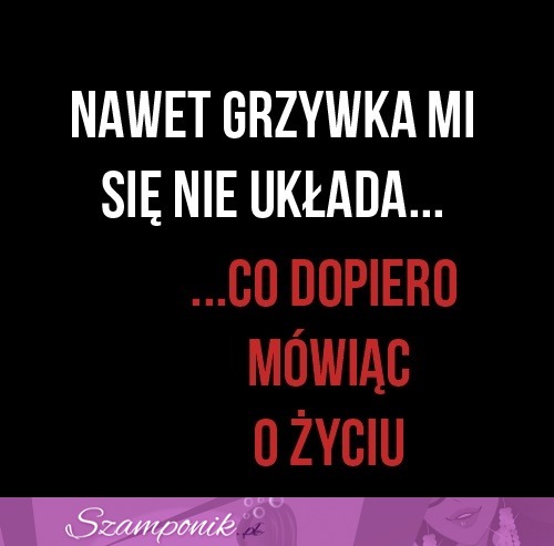 Grzywka i życie