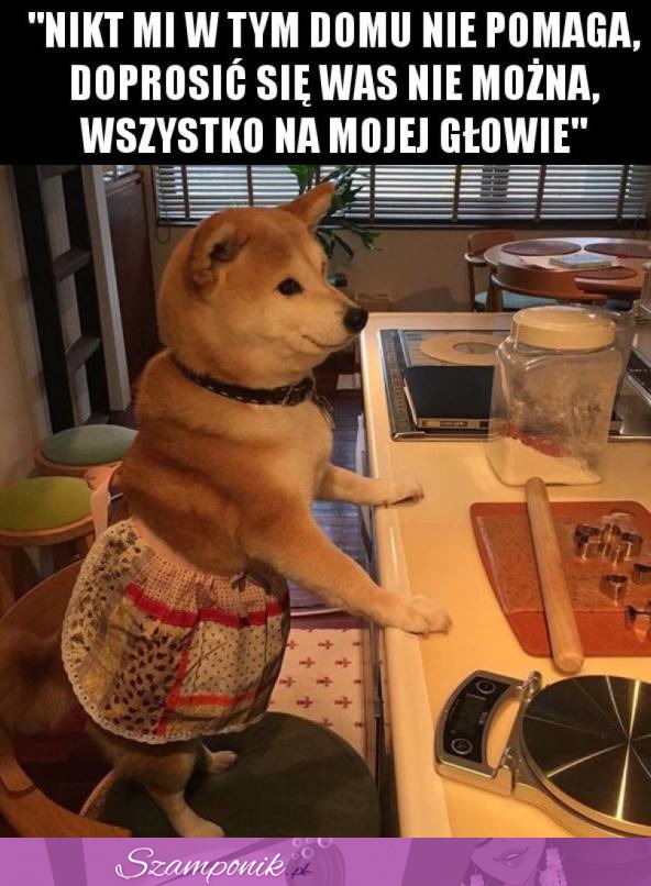 Wszystko na mojej głowie!