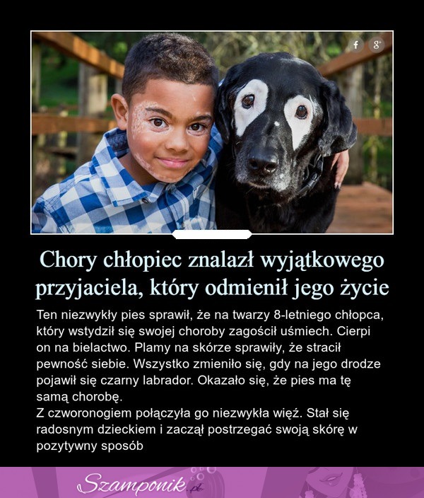 Chory chłopiec znalazł WYJĄTKOWEGO przyjaciela, który odmienił jego życie... ZOBACZ co ich połączyło!