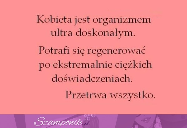 Przetrwa wszystko.