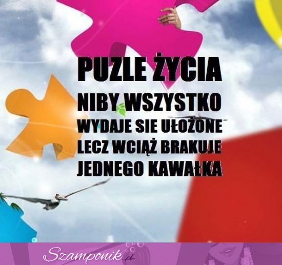 Puzzle życia