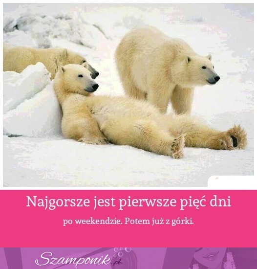 Najgorsze jest pierwsze pięć dni