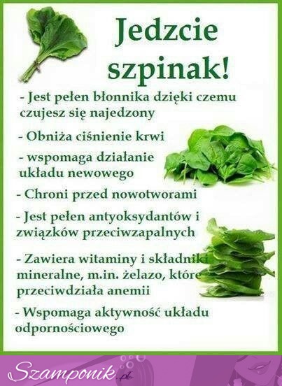 To, że szpinak jest zdrowy, wie prawie każdy, ale czy naprawdę wiecie dlaczego?