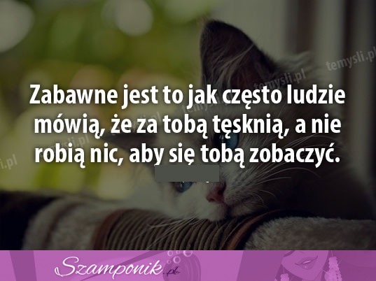 Zabawne jest to...