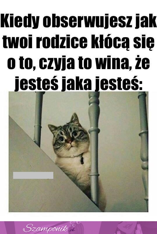 Podczas kłótni rodziców