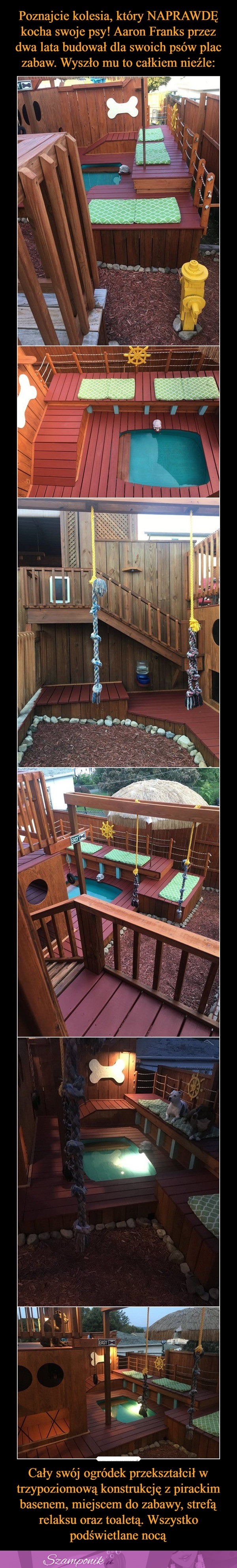 Aaro Franks przez 2 lata budował dla swoich psów plac zabaw. Wyszło mu to całkiem nieźle!