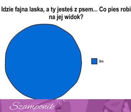 Idzie fajna laska, a Ty idziesz z psem... Co pies robi