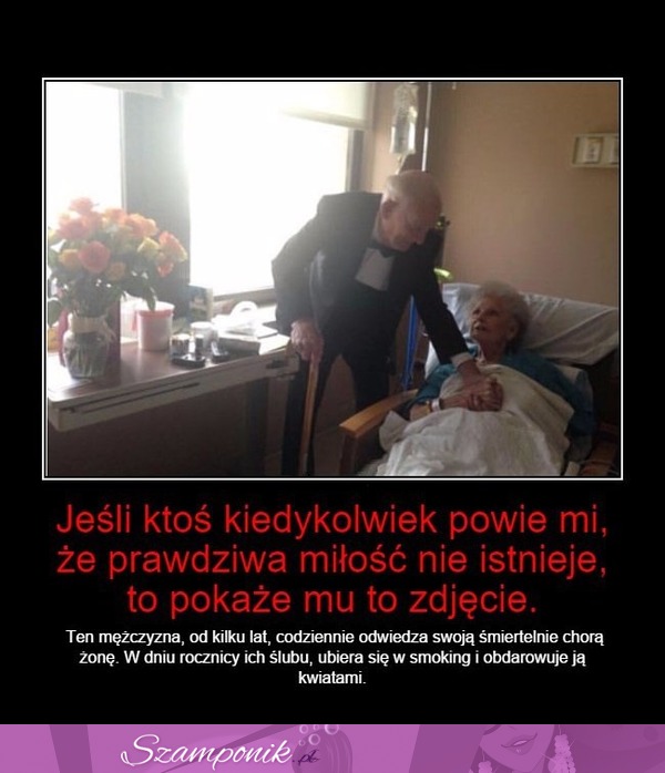 Jeśli ktoś powie, że PRAWDZIWA MIŁOŚĆ nie ISTNIEJE pokaż mu to ZDJĘCIE!