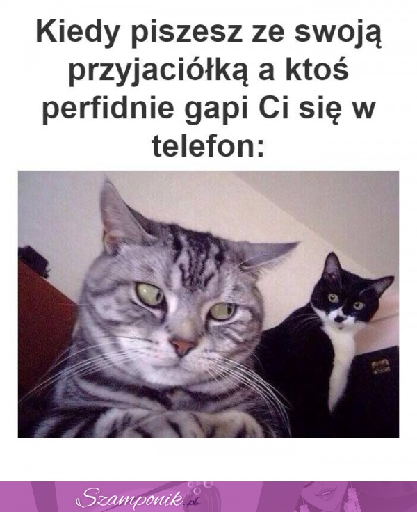 Przecież jej nie powiem