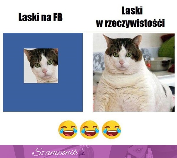 Zgadza się ;)